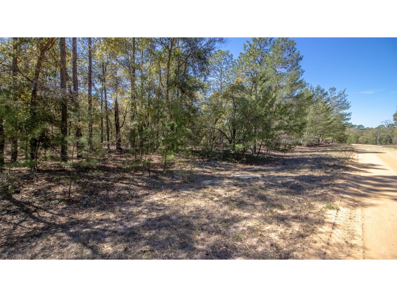 0 Dew Drop Drive Hawthorne FL 32640 GC528929 image1