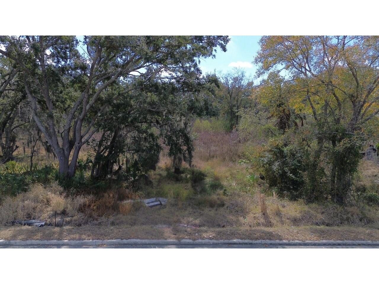 0 Diana Street Tampa FL 33610 TB8476047 image2