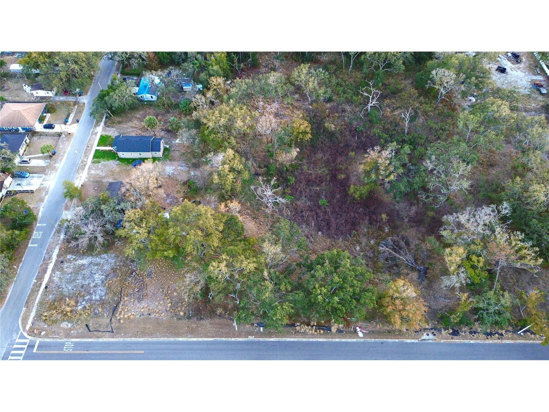 0 Diana Street Tampa FL 33610 TB8476047 image5