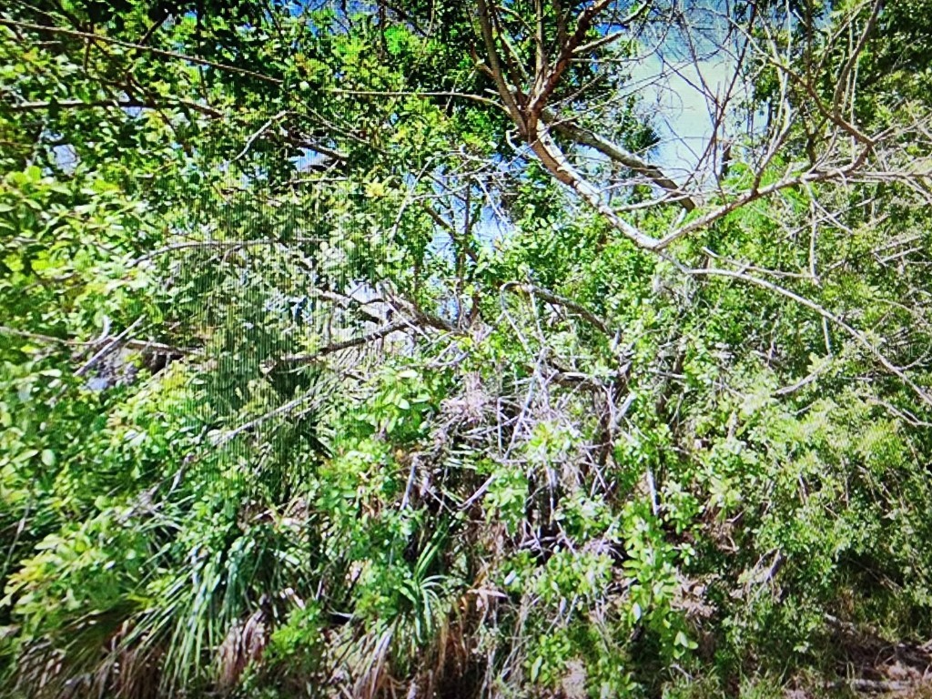 0 Dingus Lane Hudson FL 34667 J993497 image1