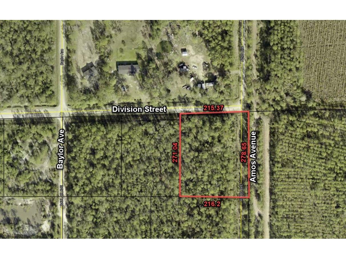 0 Division Street Hastings FL 32145 O6117049 image1