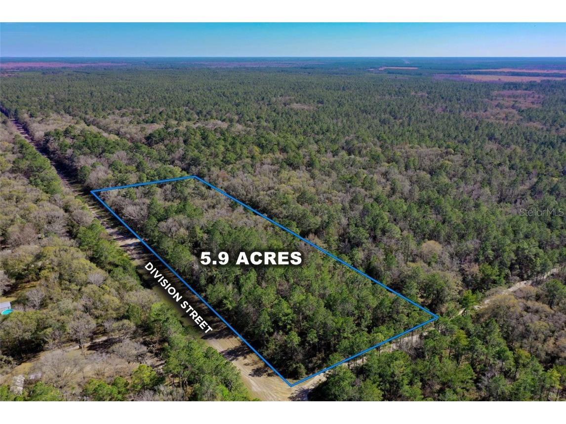0 Division Street Hastings FL 32145 O6294839 image1