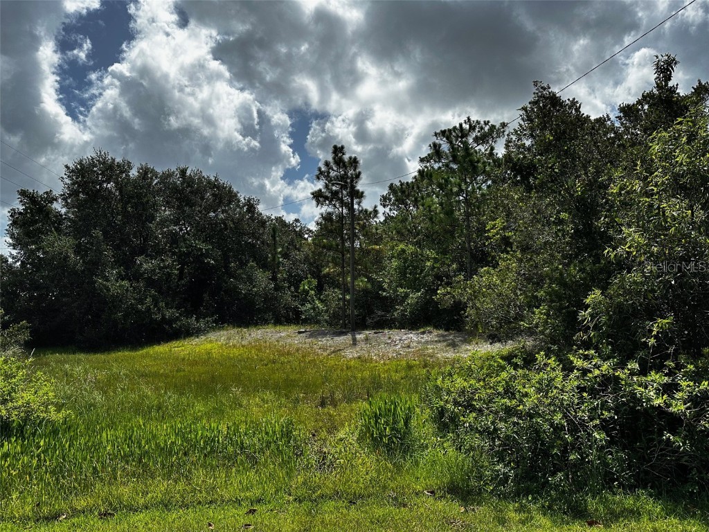 0 Doherty Drive Lake Wales FL 33898 TB8427879 image4