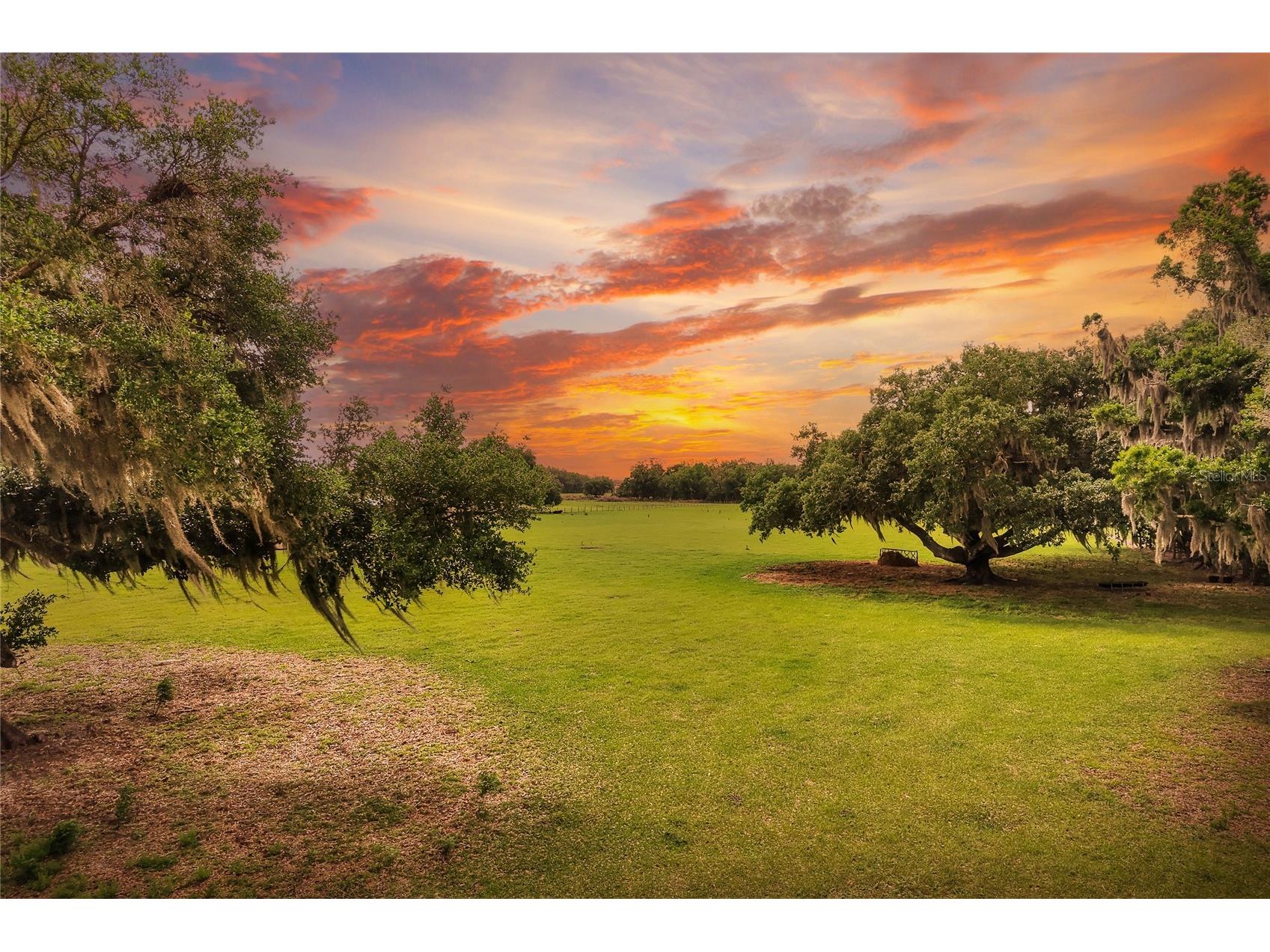 0 Dorman Road Lithia FL 33547 TB8500275 image1