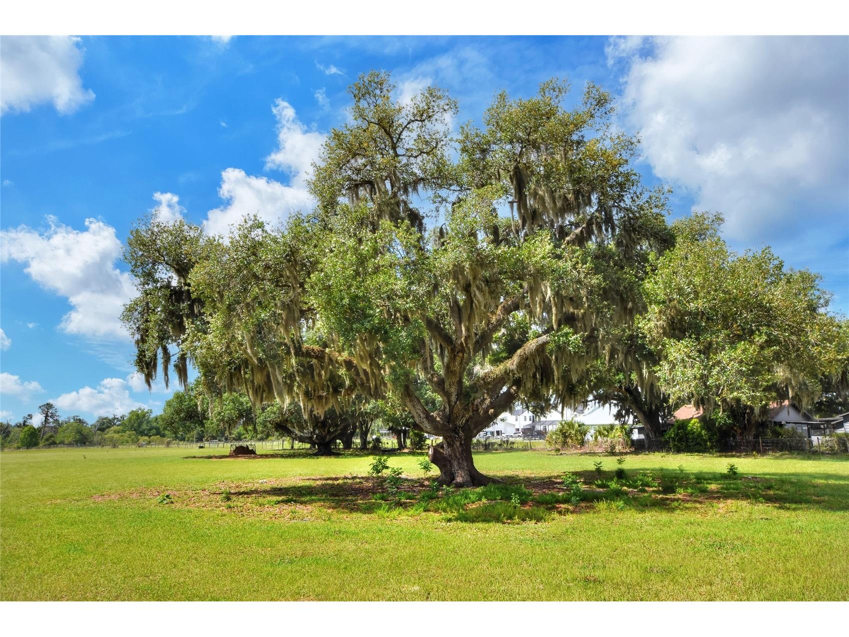 0 Dorman Road Lithia FL 33547 TB8500275 image3