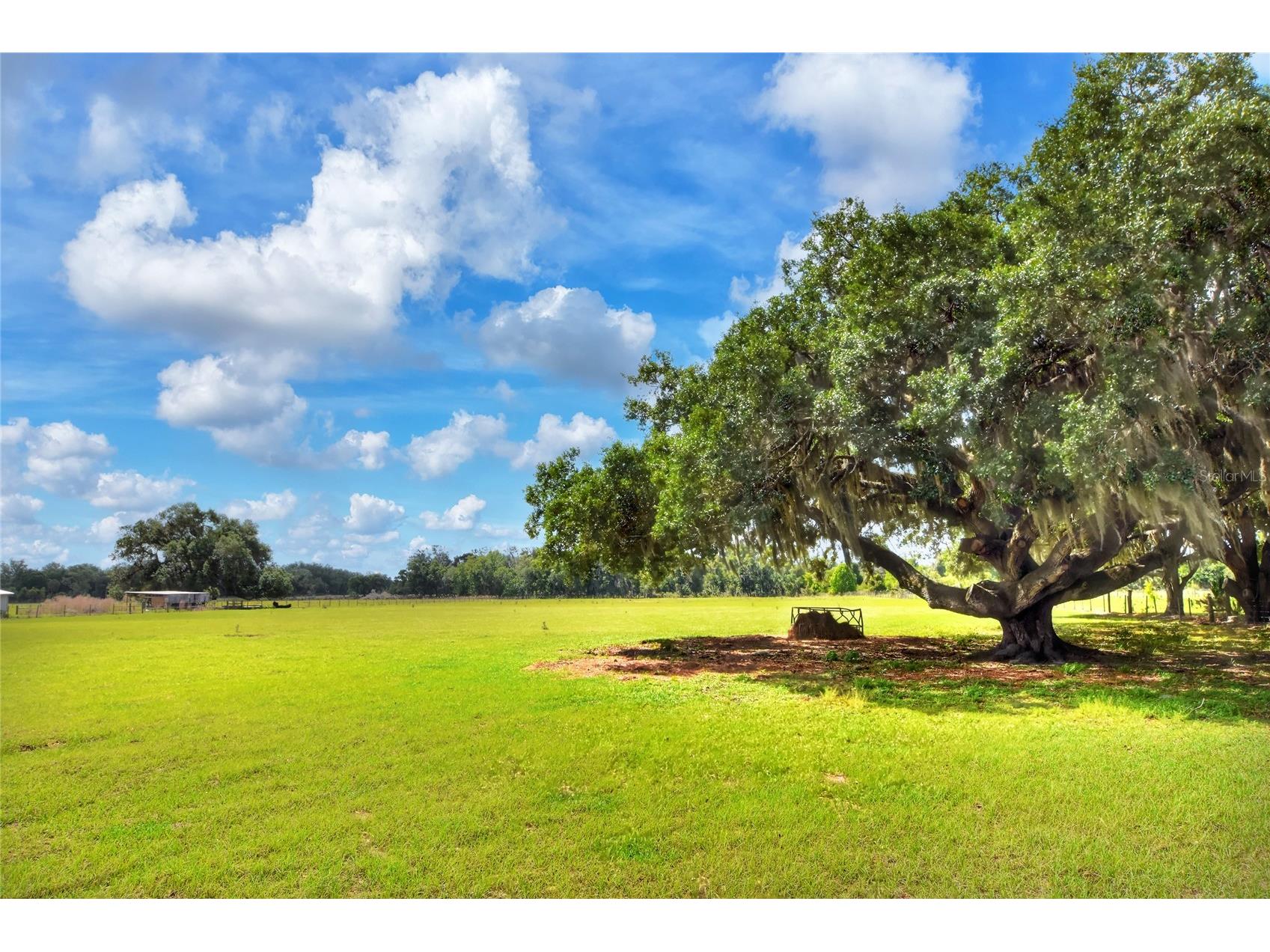 0 Dorman Road Lithia FL 33547 TB8500275 image4