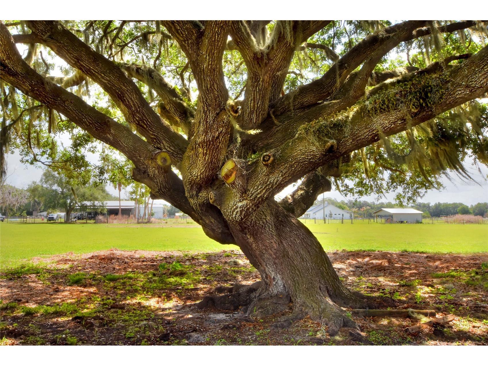 0 Dorman Road Lithia FL 33547 TB8500275 image5