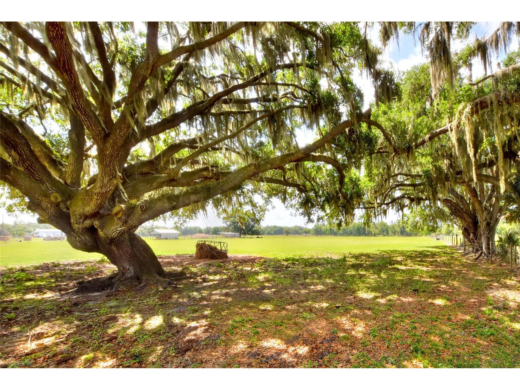 0 Dorman Road Lithia FL 33547 TB8500275 image6