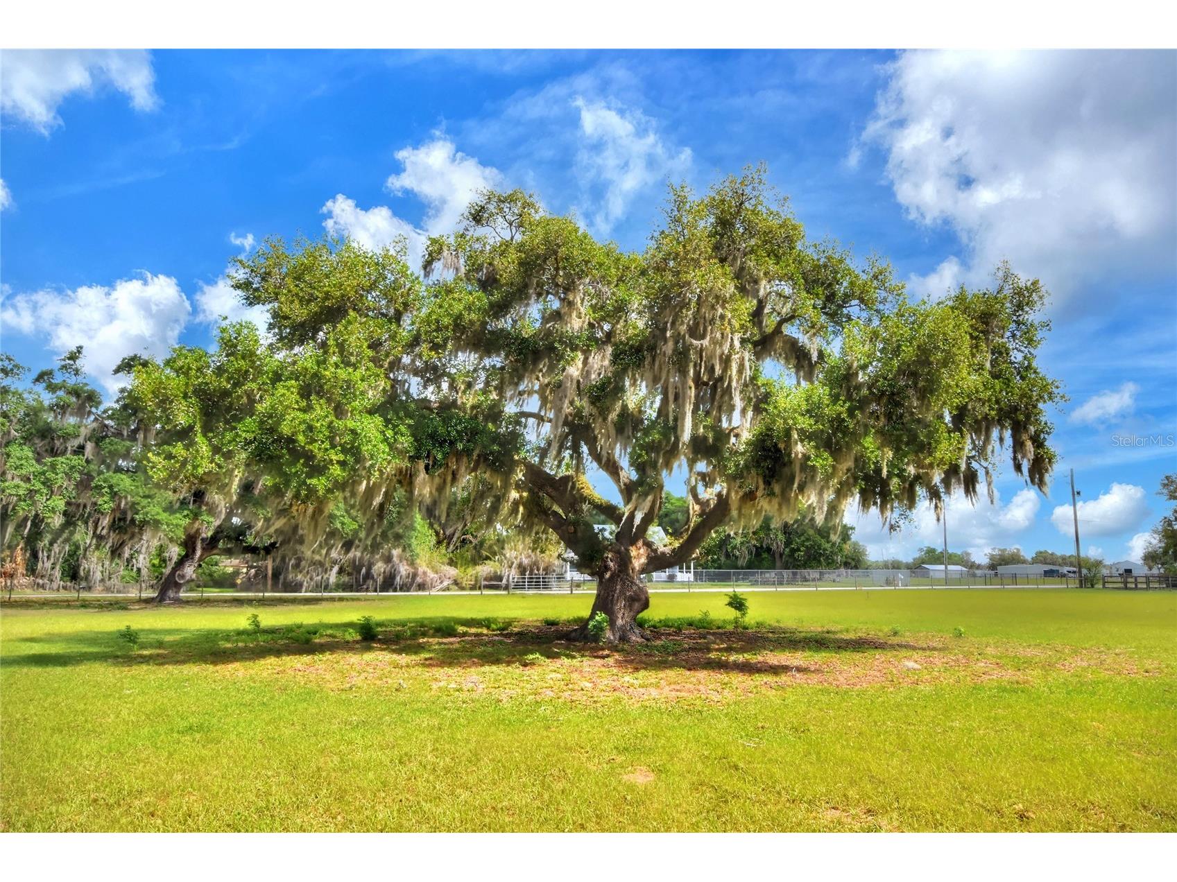 0 Dorman Road Lithia FL 33547 TB8500275 image7