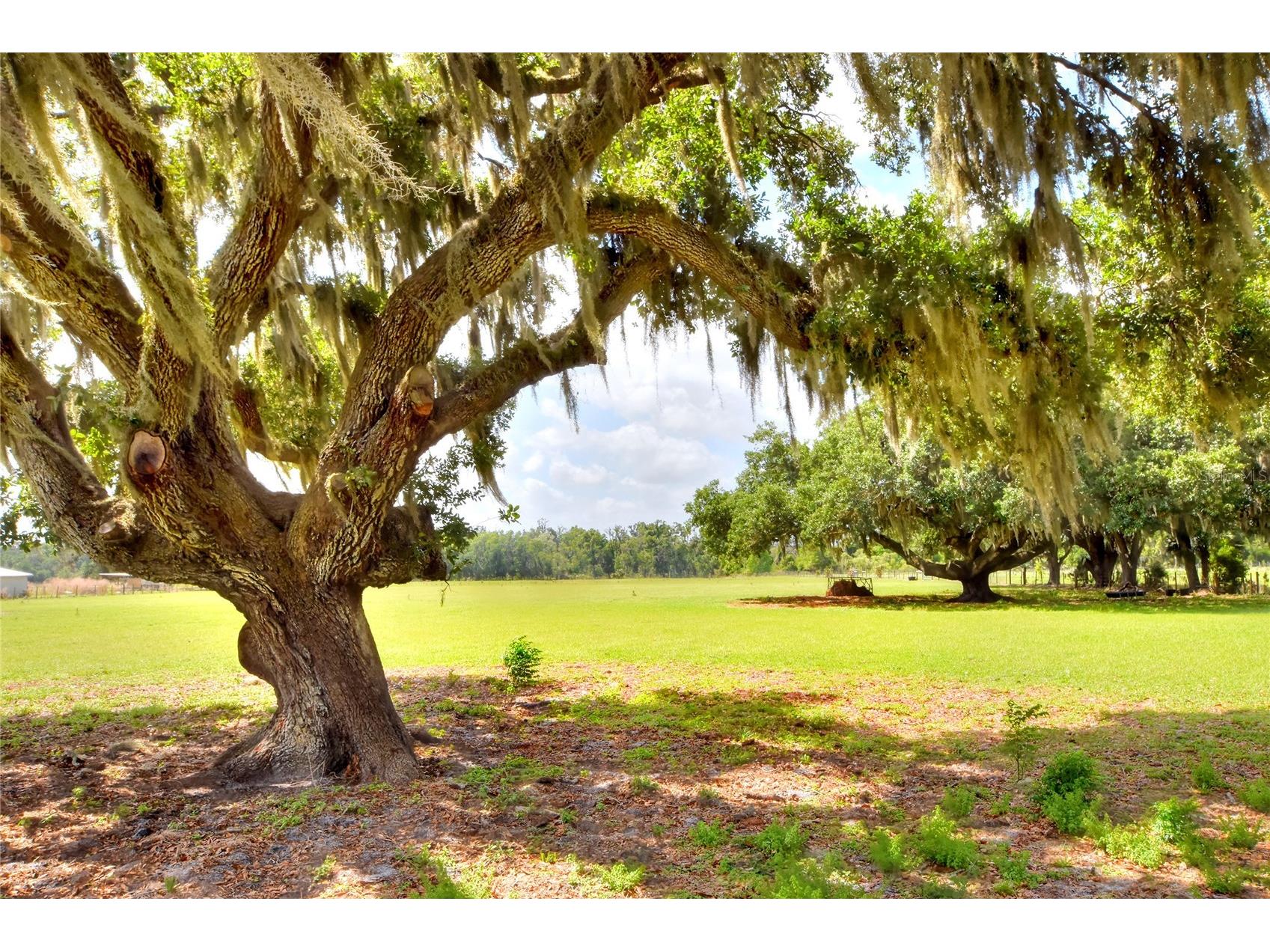 0 Dorman Road Lithia FL 33547 TB8500275 image8