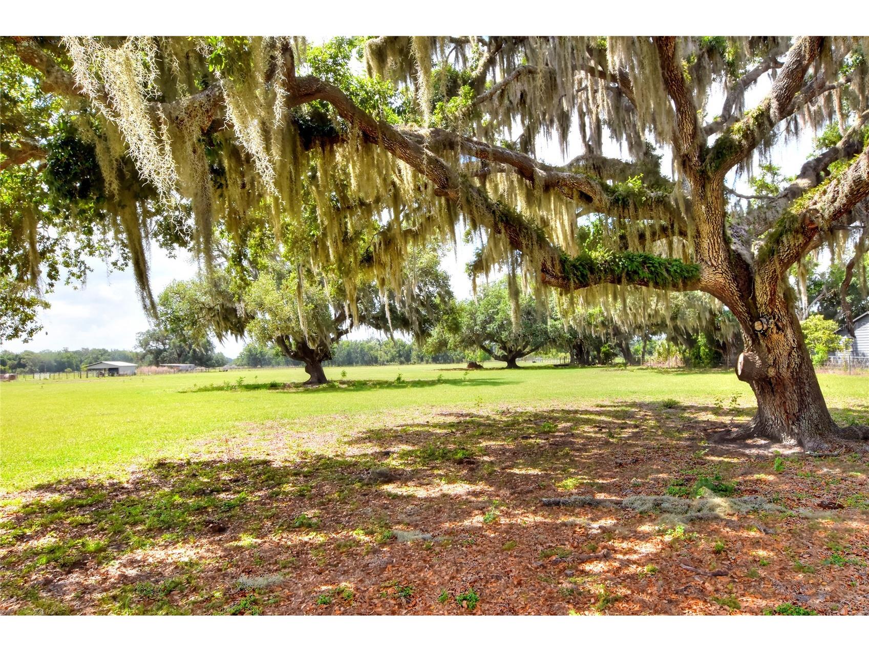 0 Dorman Road Lithia FL 33547 TB8500275 image9