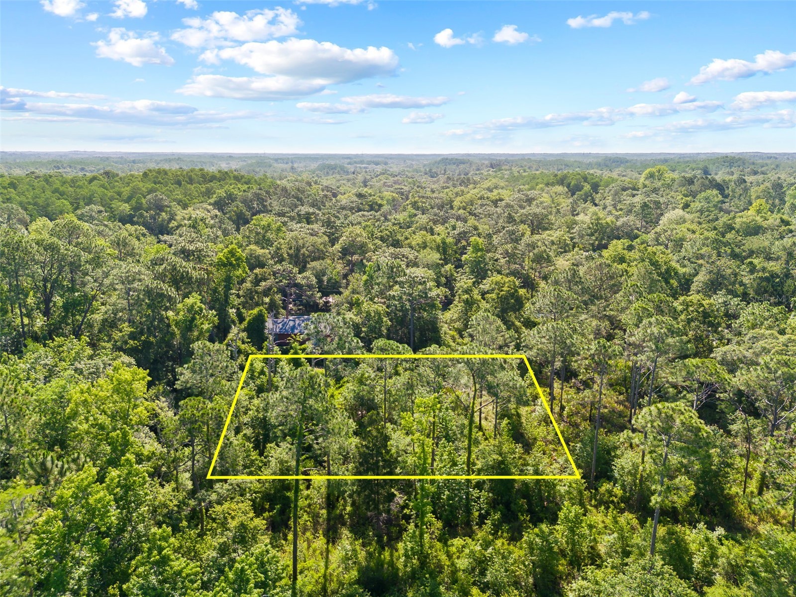 0 Dothan Street New Port Richey FL 34654 T3528455 image1