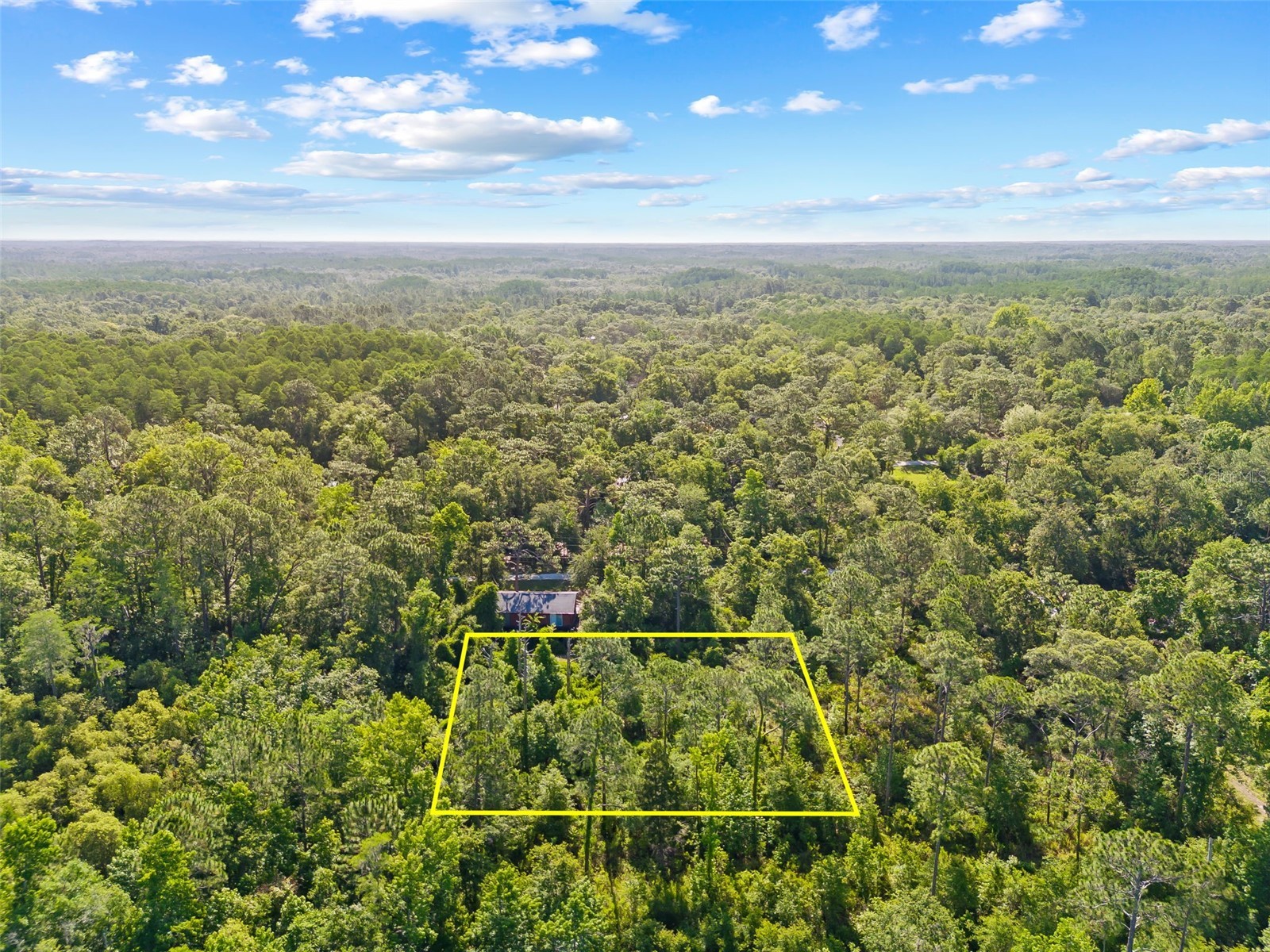 0 Dothan Street New Port Richey FL 34654 T3528455 image13