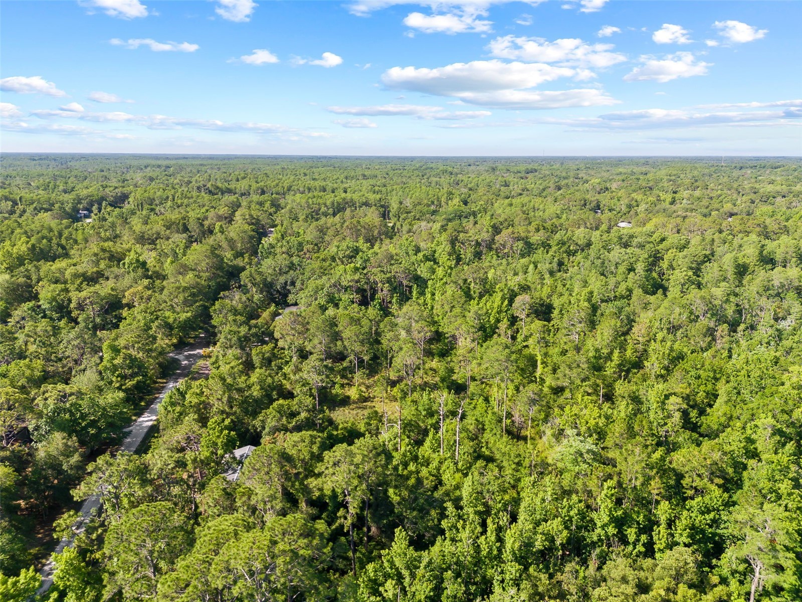 0 Dothan Street New Port Richey FL 34654 T3528455 image16