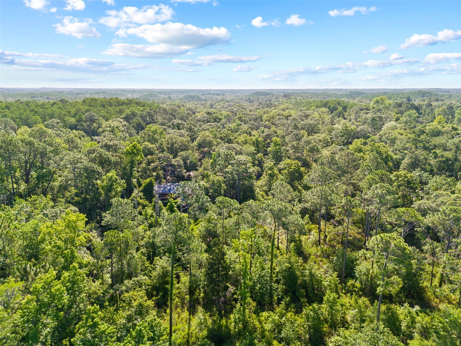 0 Dothan Street New Port Richey FL 34654 T3528455 image2