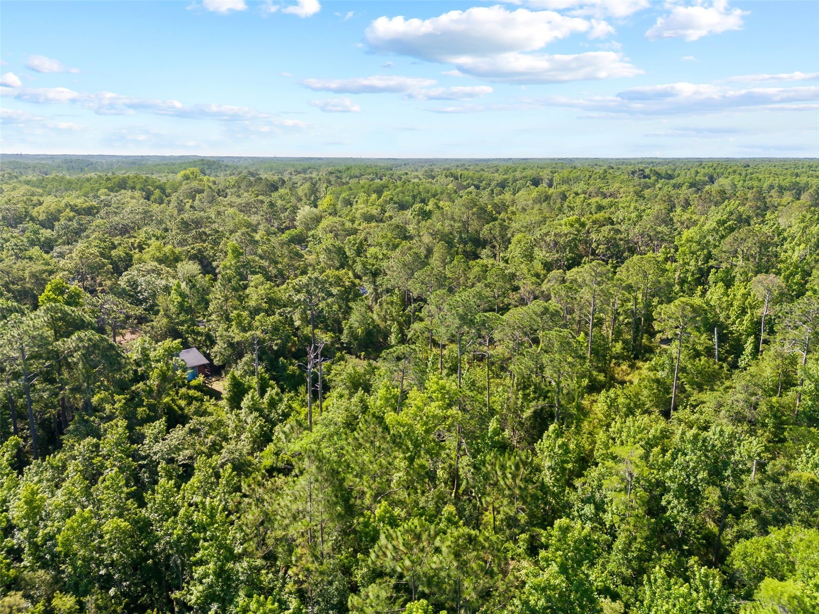 0 Dothan Street New Port Richey FL 34654 T3528455 image6