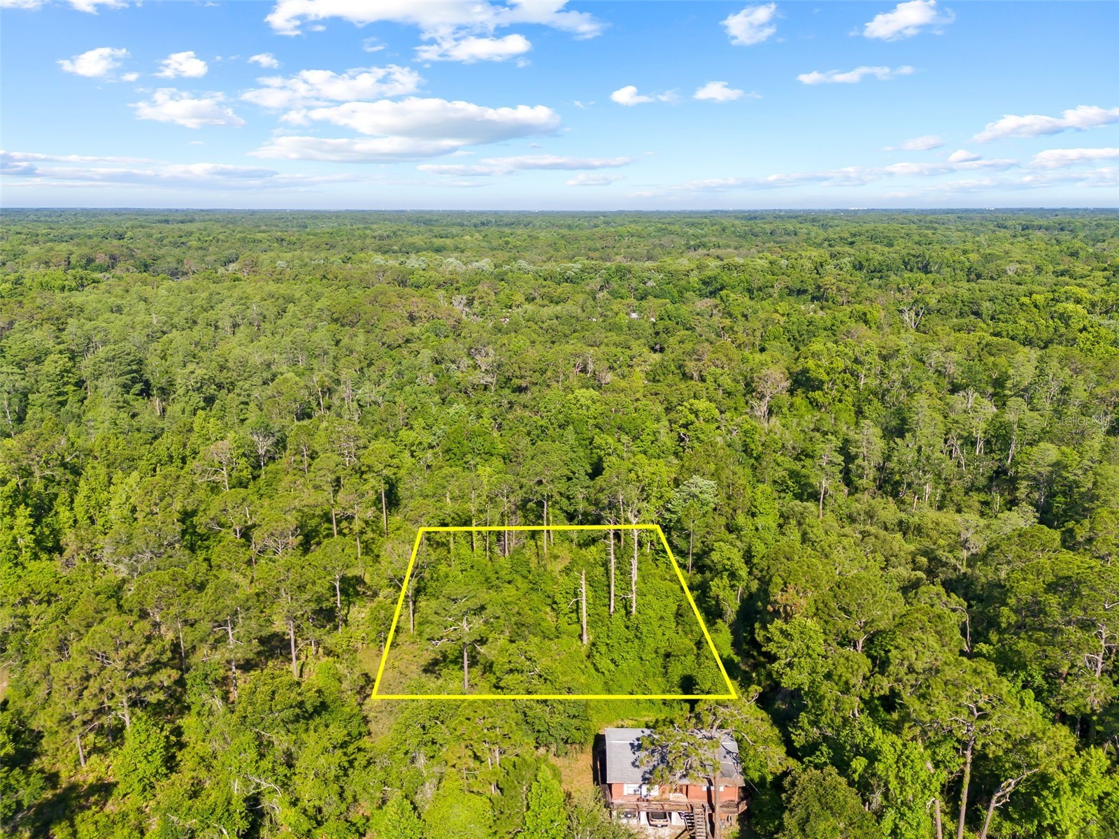 0 Dothan Street New Port Richey FL 34654 T3528455 image7