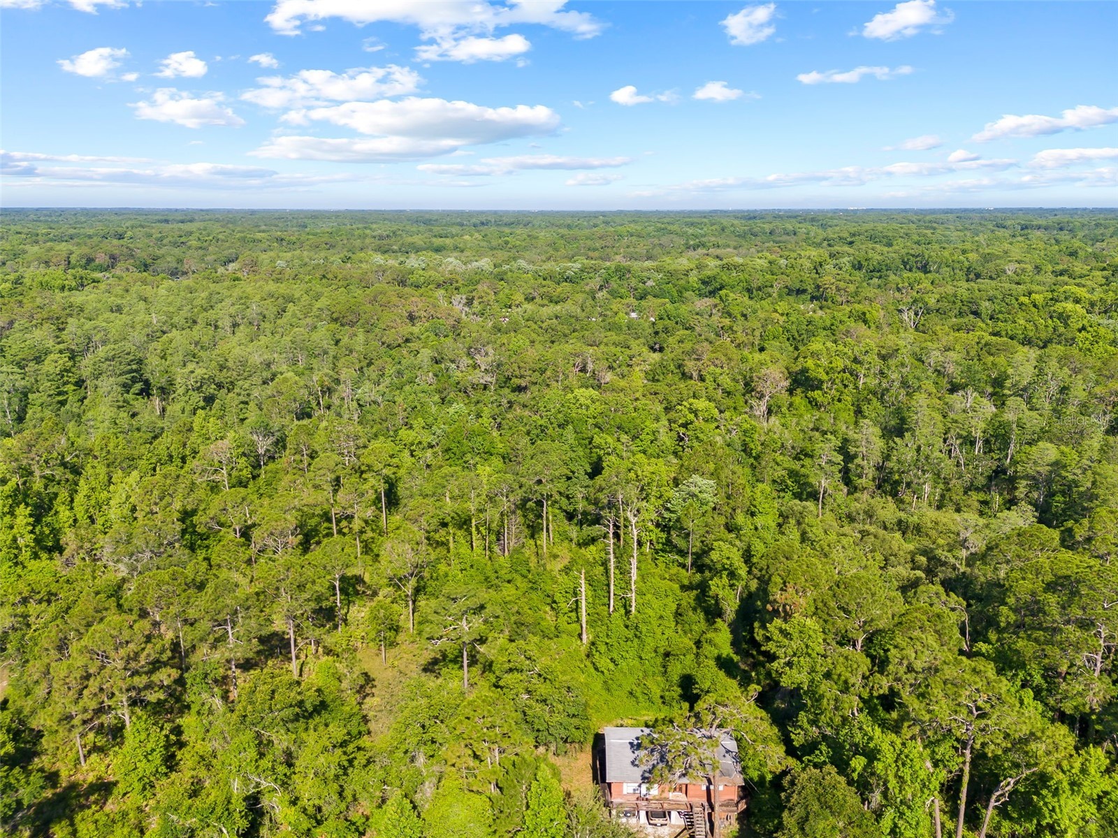 0 Dothan Street New Port Richey FL 34654 T3528455 image8