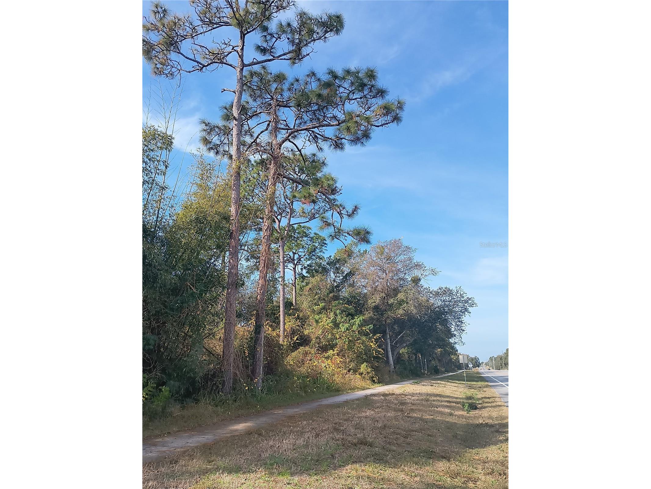 0 Doyle Road Deltona FL 32738 V4946461 image5