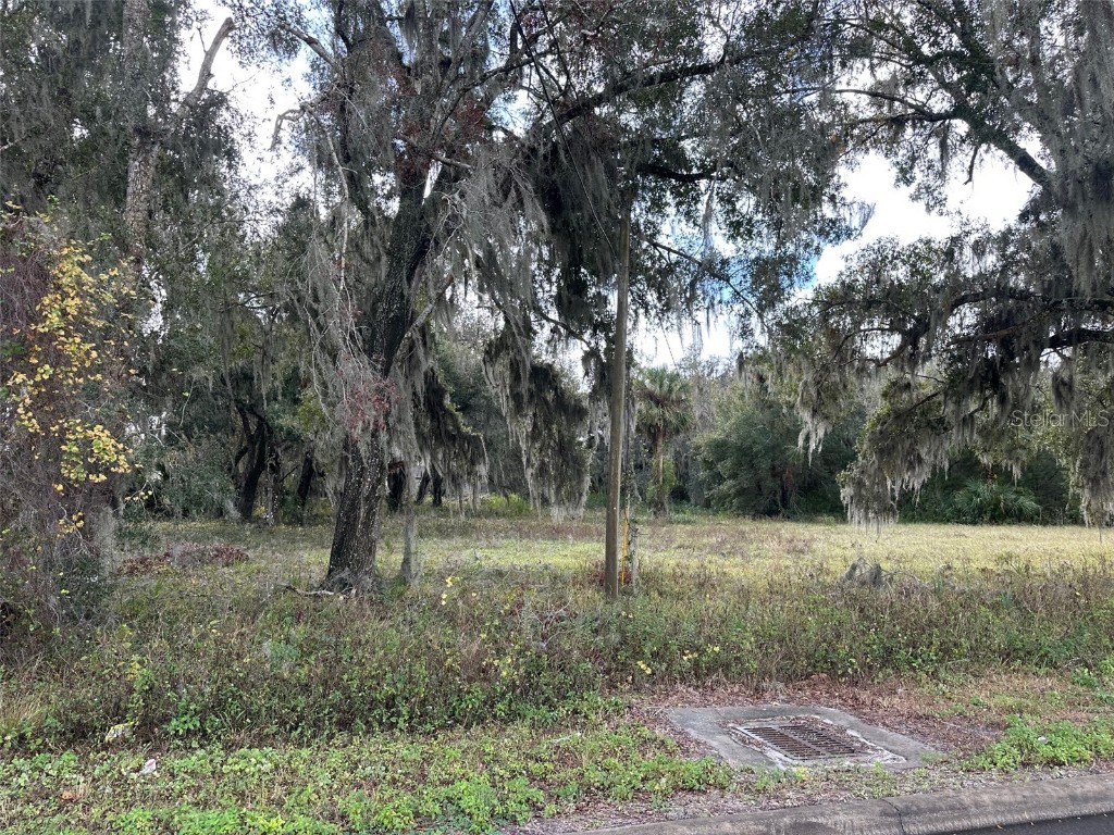 0 Doyle Road Osteen FL 32764 O6265564 image1