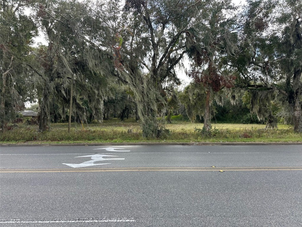 0 Doyle Road Osteen FL 32764 O6265564 image2