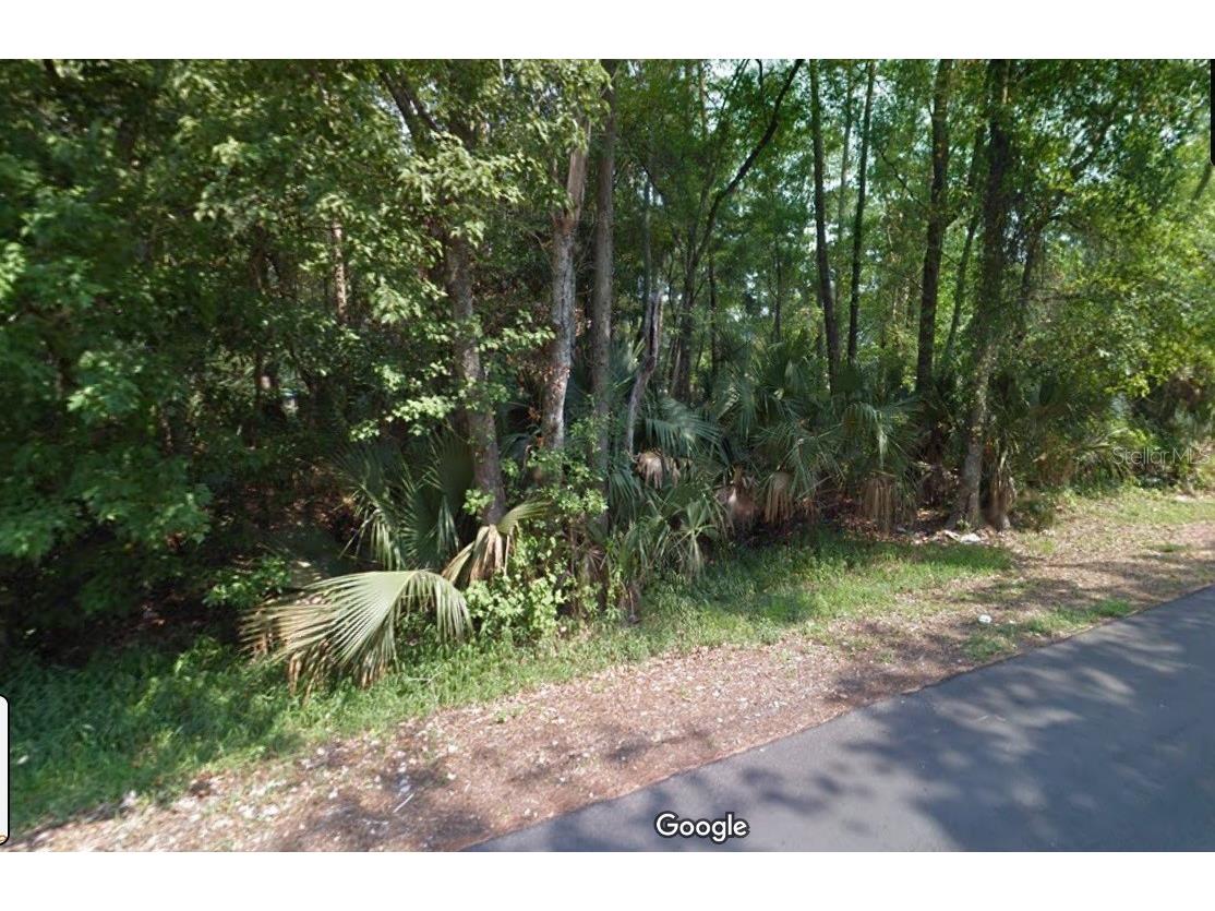 0 Dr. Martin Luther King Jr Avenue Bunnell FL 32110 O6141908 image1