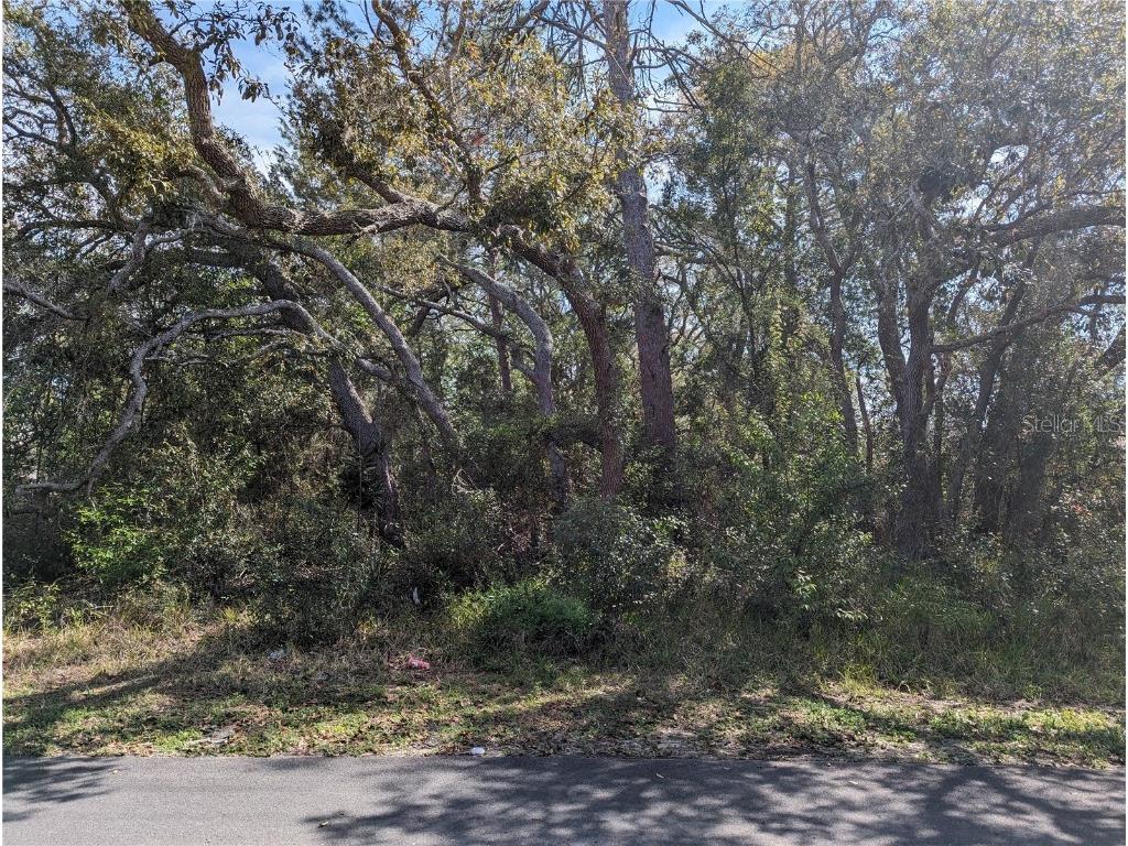 0 Dristol Avenue Spring Hill FL 34609 U8233739 image1