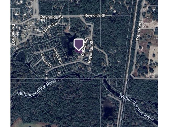 0 Dublin Road Ridge Manor FL 33523 O6362027 image11