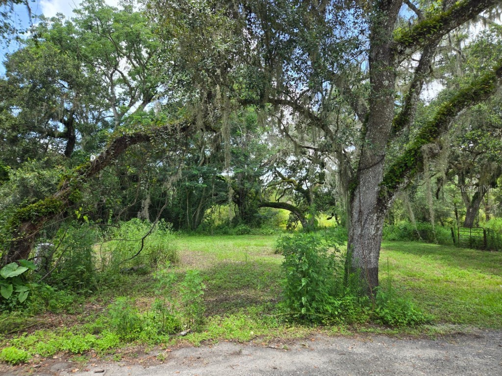 0 Dublin Road Ridge Manor FL 33523 O6362027 image8