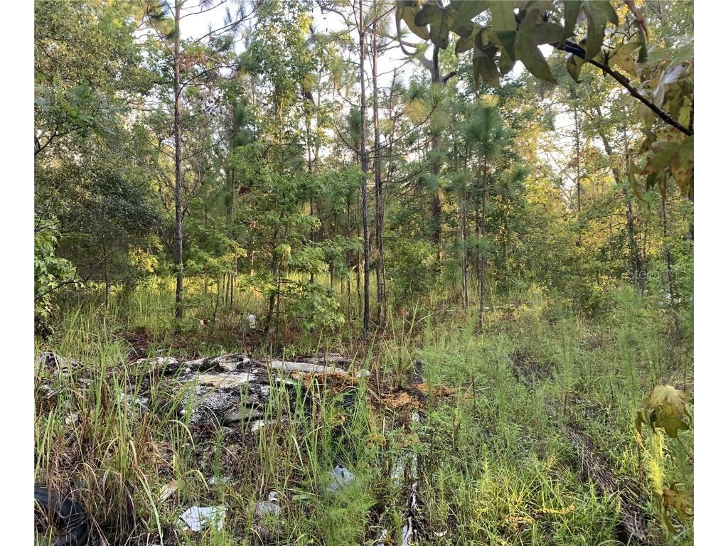 0 Duchess New Port Richey FL 34654 W7856851 image1