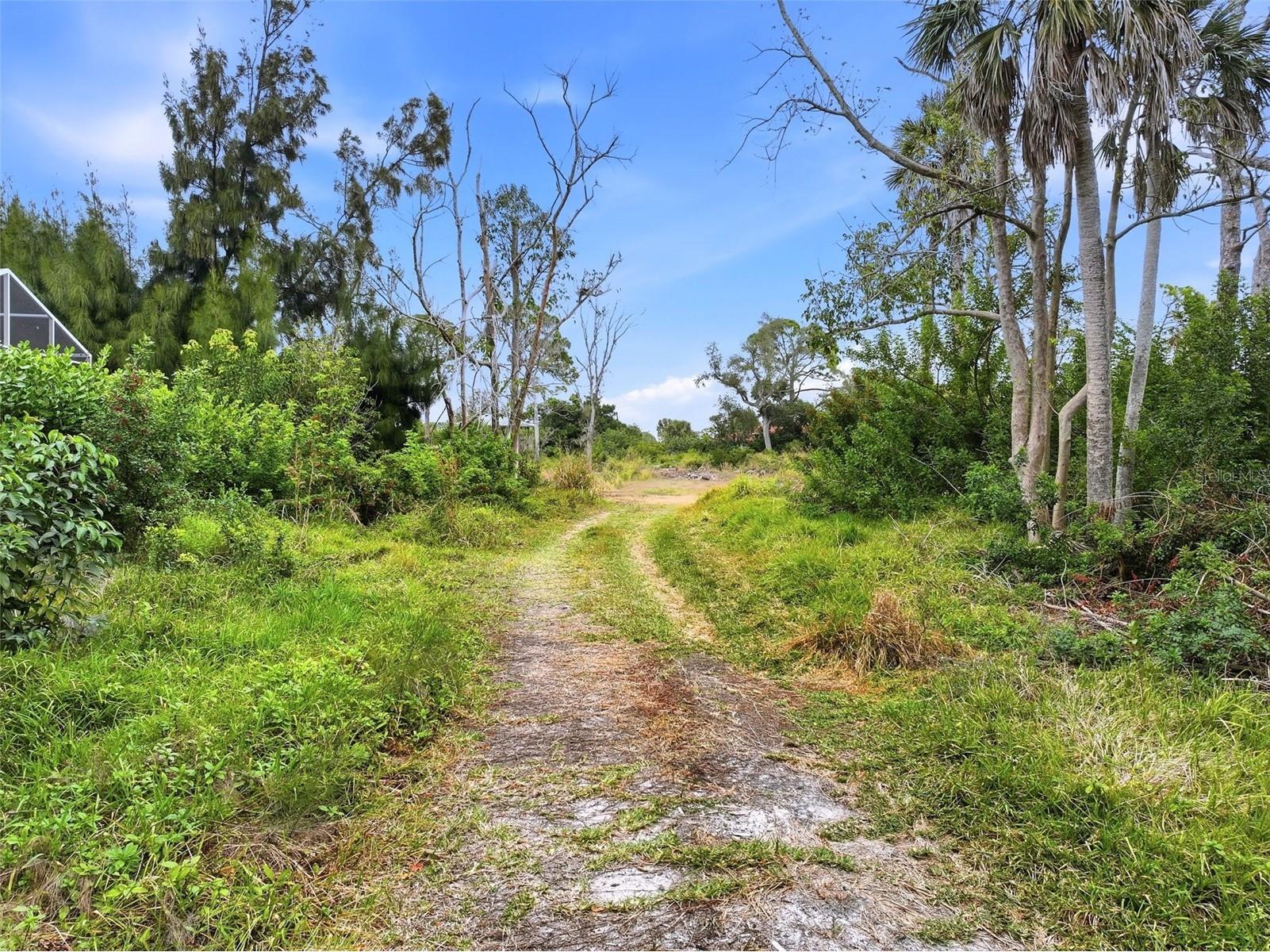 0 Dunbar Road Venice FL 34293 - ALLIGATOR CREEK A4680983 image5