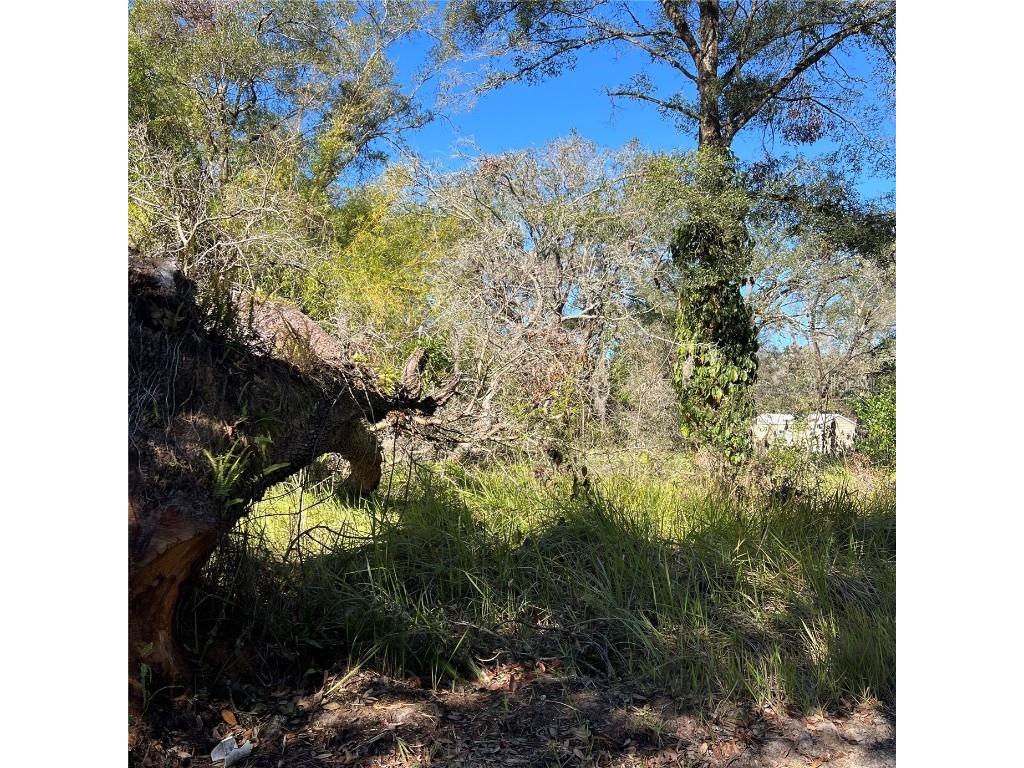 0 Durden Road Dade City FL 33523 A4637788 image1
