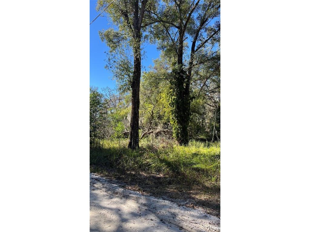 0 Durden Road Dade City FL 33523 A4637788 image2