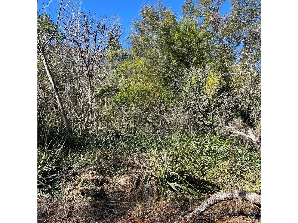 0 Durden Road Dade City FL 33523 A4637788 image3