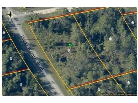 0 Dusky Warbler Road Weeki Wachee FL 34614 W7881010 image1