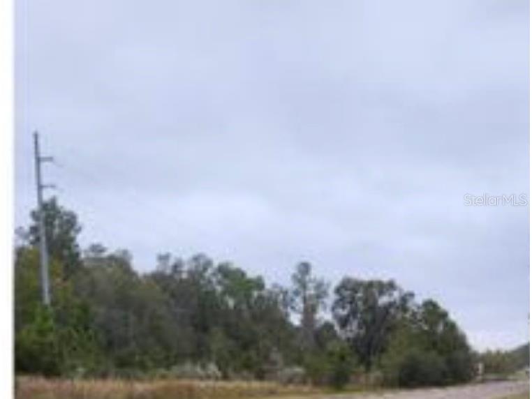 0 E Dade Lane Spring Hill FL 34610 TB8452103 image1