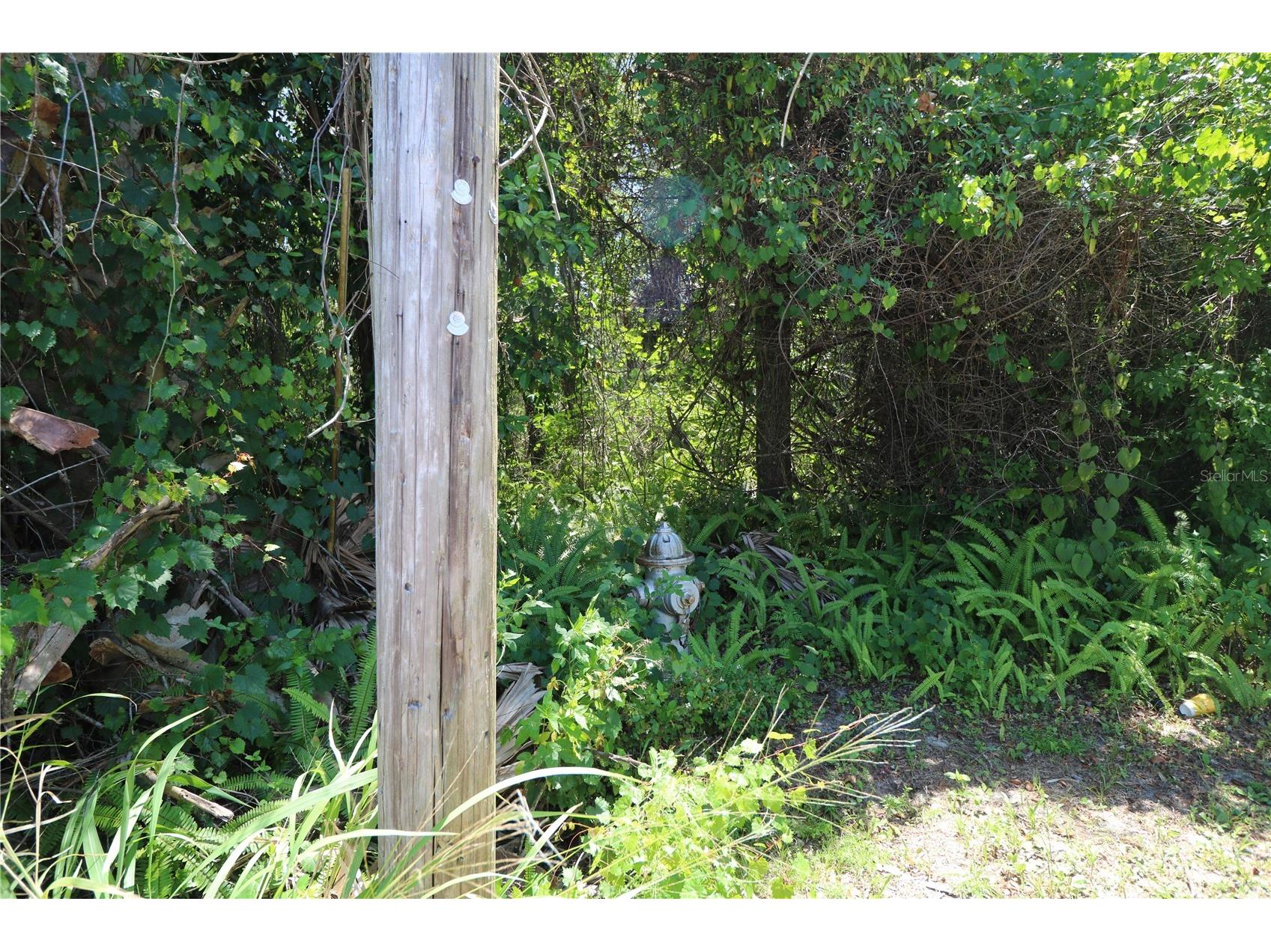 0 E Franklin Street Oviedo FL 32765 O6383444 image3
