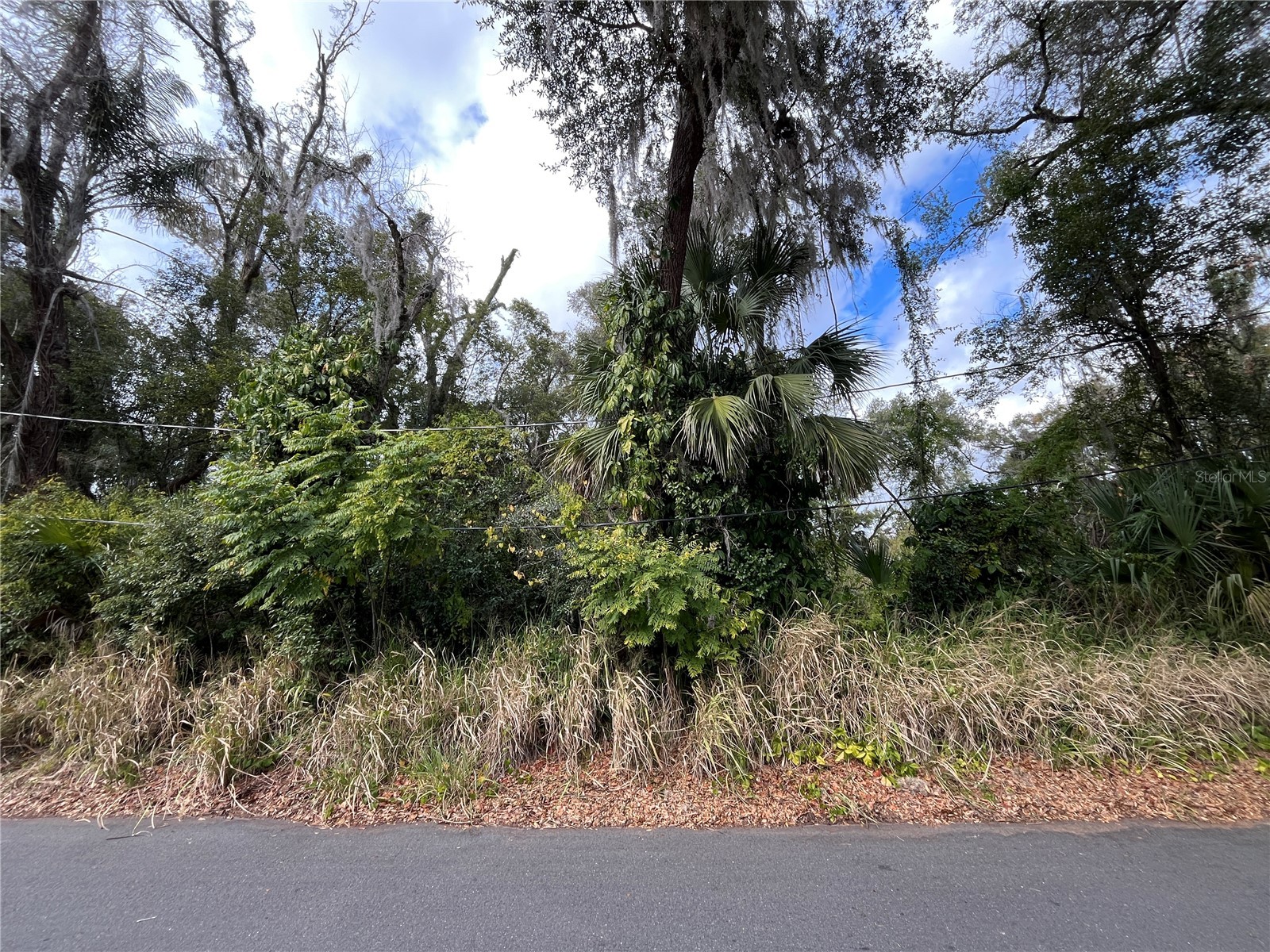 0 E Fruitland Street Fruitland Park FL 34731 G5106100 image1