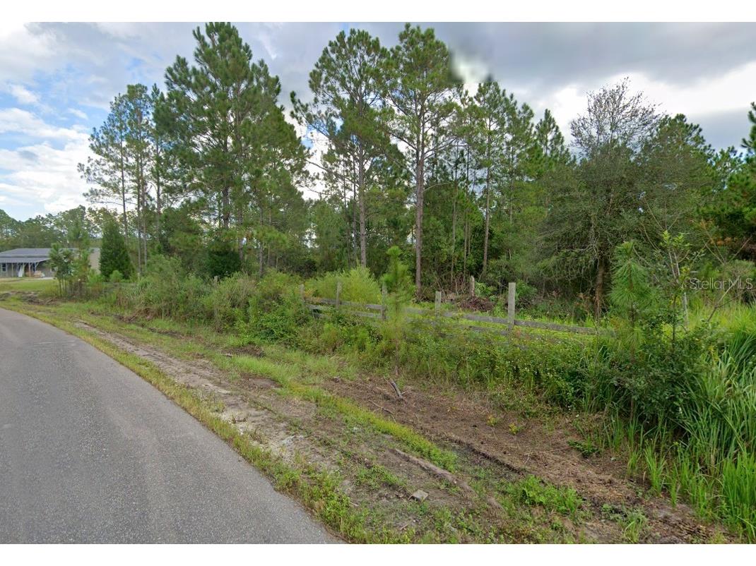 0 E Horseshoe Ct Palatka FL 32177 S5121009 image1