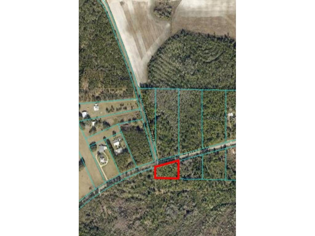 0 E Hwy 318 Citra FL 32113 G5072326 image1