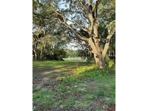 0 E Hwy 40 Silver Springs FL 34488 G5099782 image1