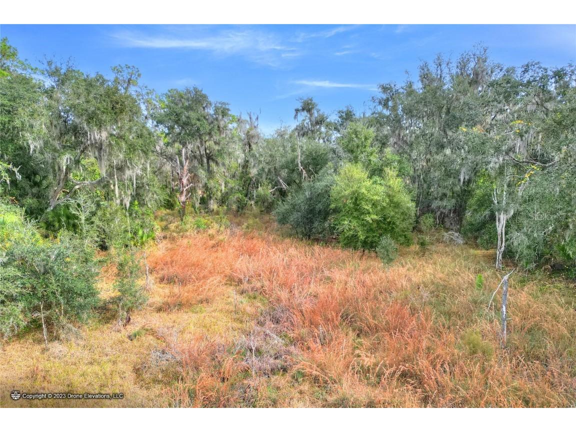 0 E Keysville Road Lithia FL 33547 T3496931 image1