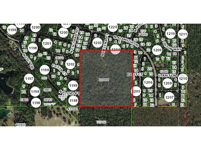 0 E Lot Ct Citrus Springs FL 34434 OM713919 image1