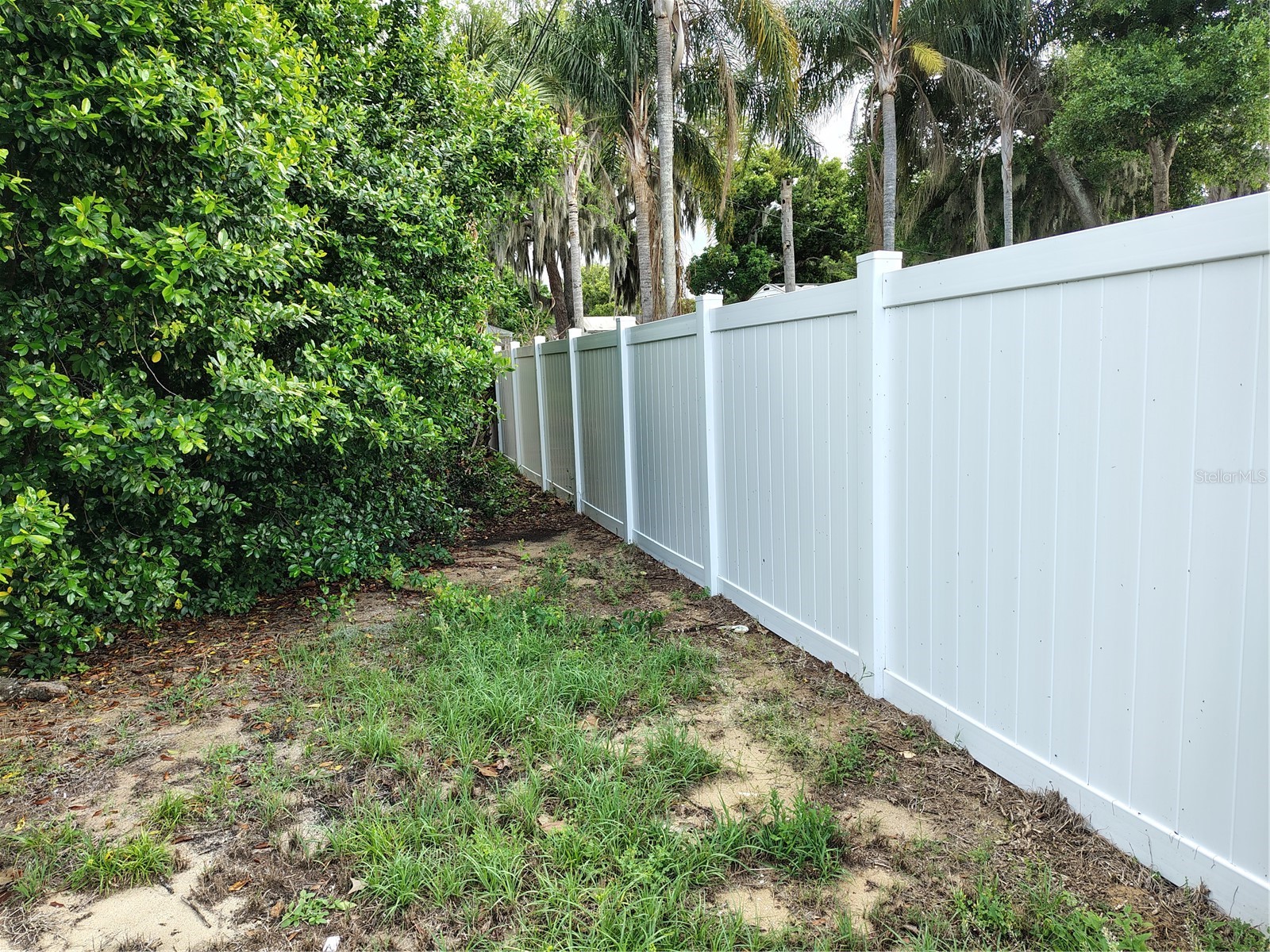0 E Myrtle Street Howey In The Hills FL 34737 - LITTLE LAKE HARRIS G5110632 image12
