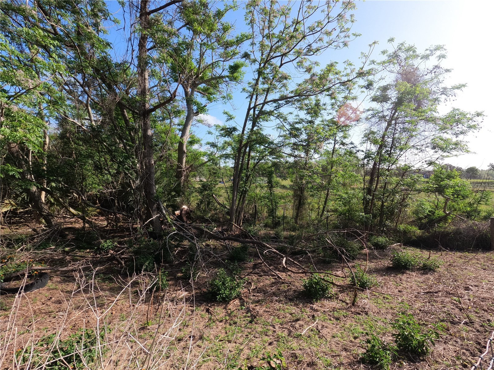 0 Earth Star Lane Groveland FL 34736 G5111483 image1