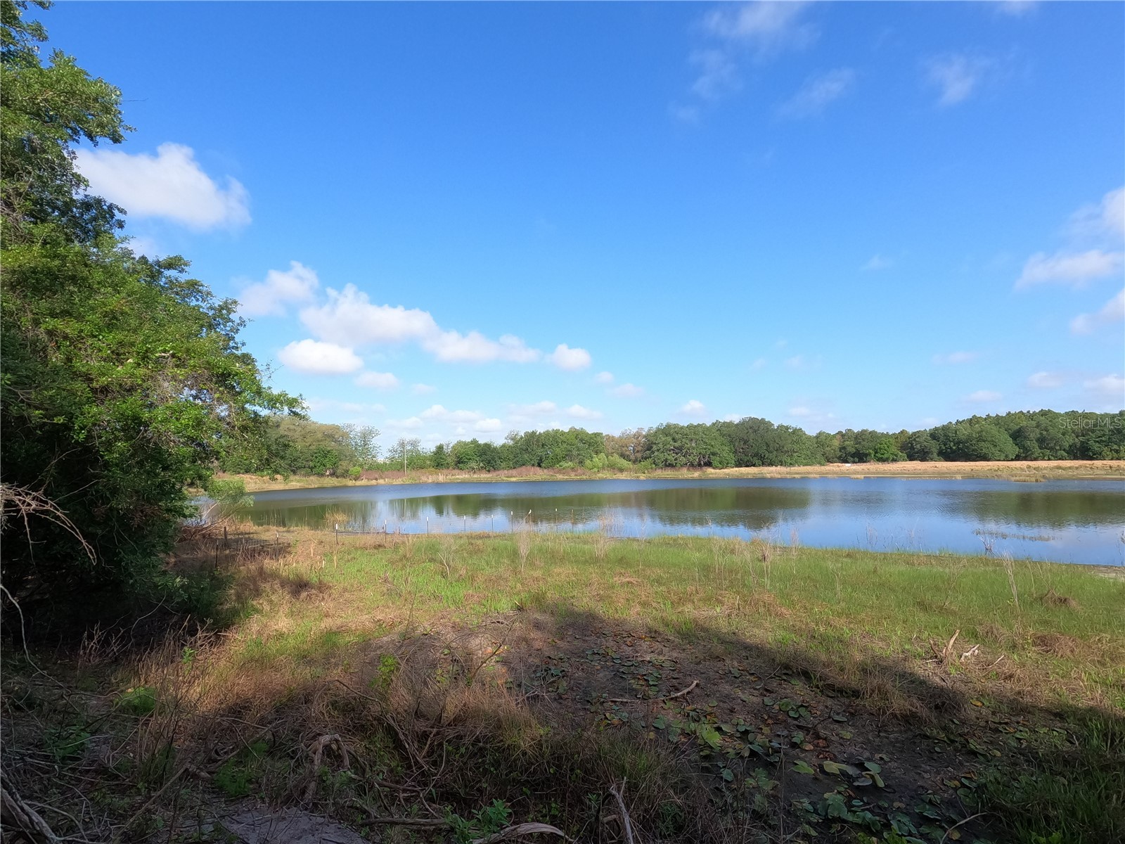 0 Earth Star Lane Groveland FL 34736 G5111483 image12