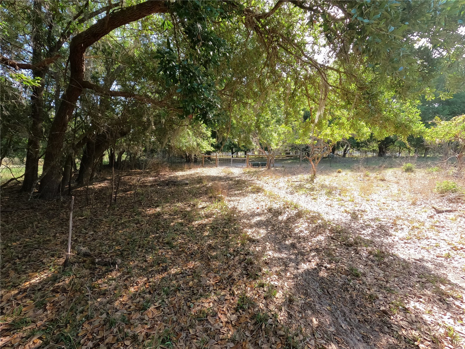 0 Earth Star Lane Groveland FL 34736 G5111483 image15