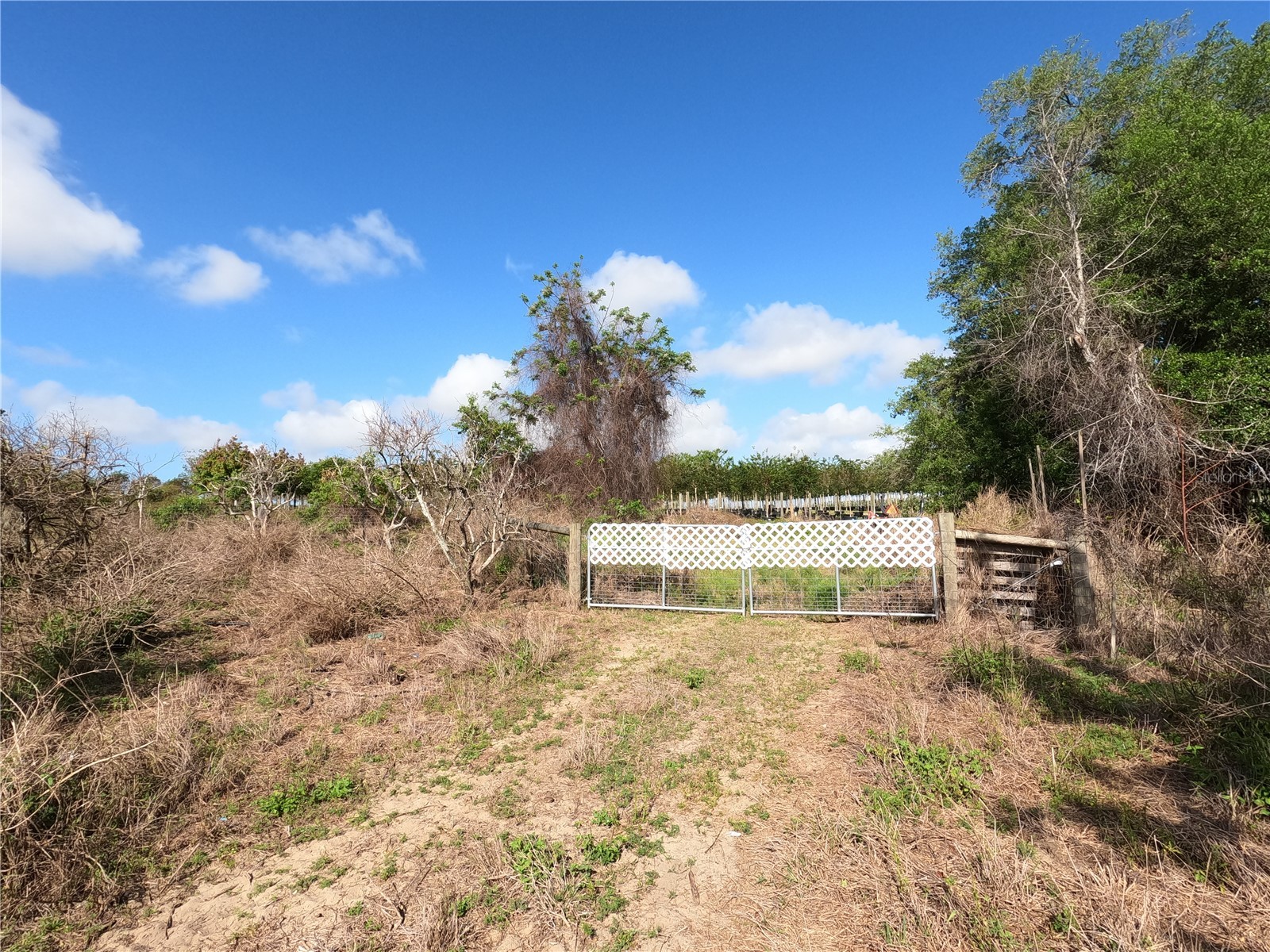 0 Earth Star Lane Groveland FL 34736 G5111483 image20