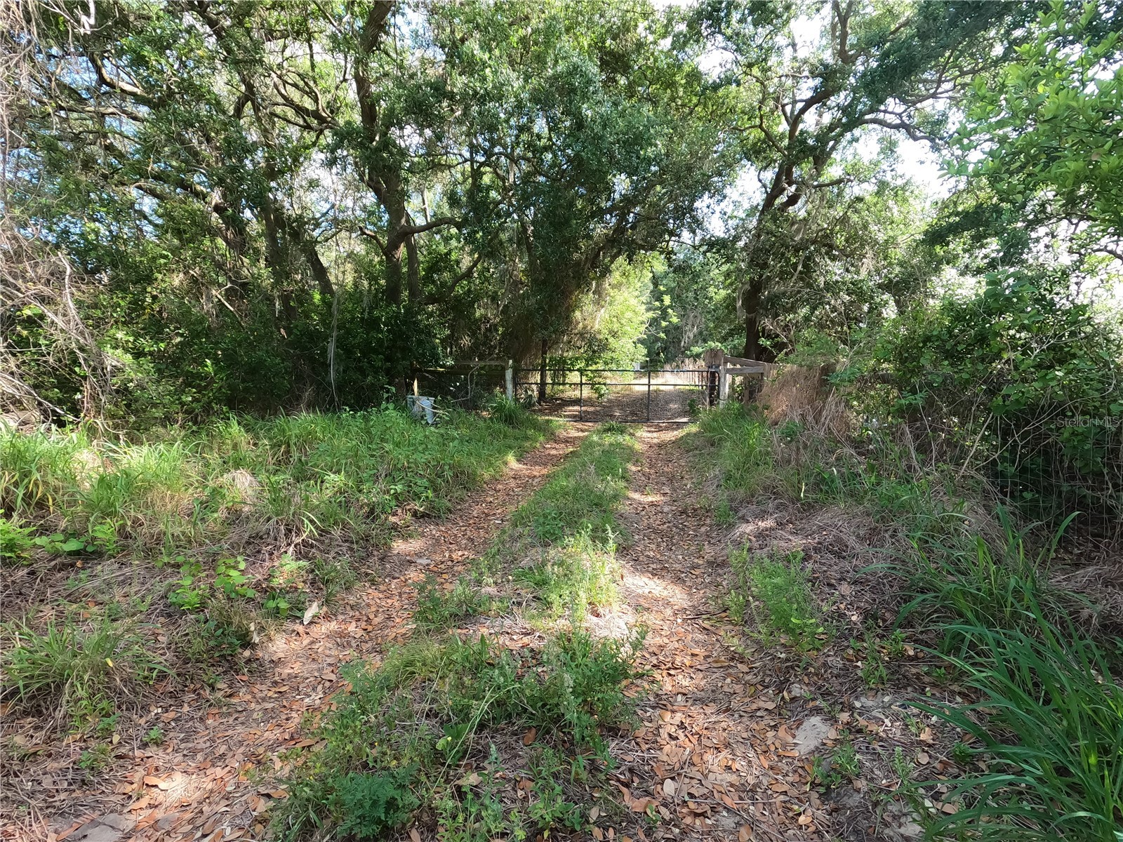 0 Earth Star Lane Groveland FL 34736 G5111483 image22