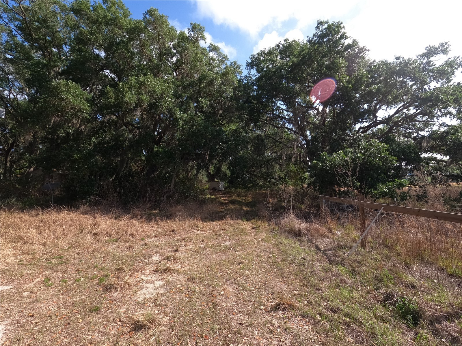 0 Earth Star Lane Groveland FL 34736 G5111483 image24